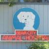 Bear City Animal Hospital