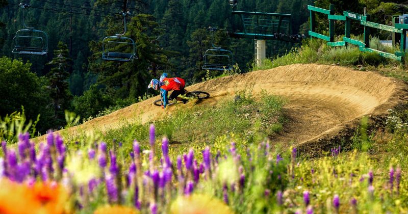 Mountain Bike Haven Big Bear Lake CA Big Bear Lake CA