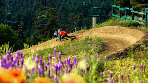 Mountain Bike Haven Big Bear Lake CA Big Bear Lake CA