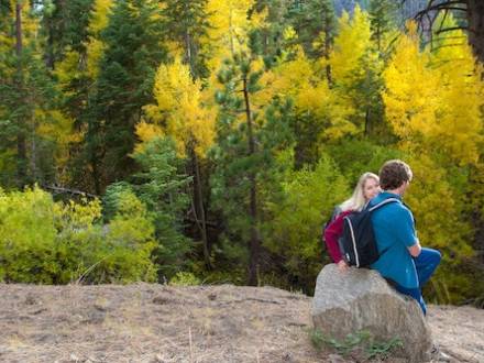 A couple sits on a rock in the autumn forest in Big Bear Lake. Green and golden foliage surround them, it is the fall season.