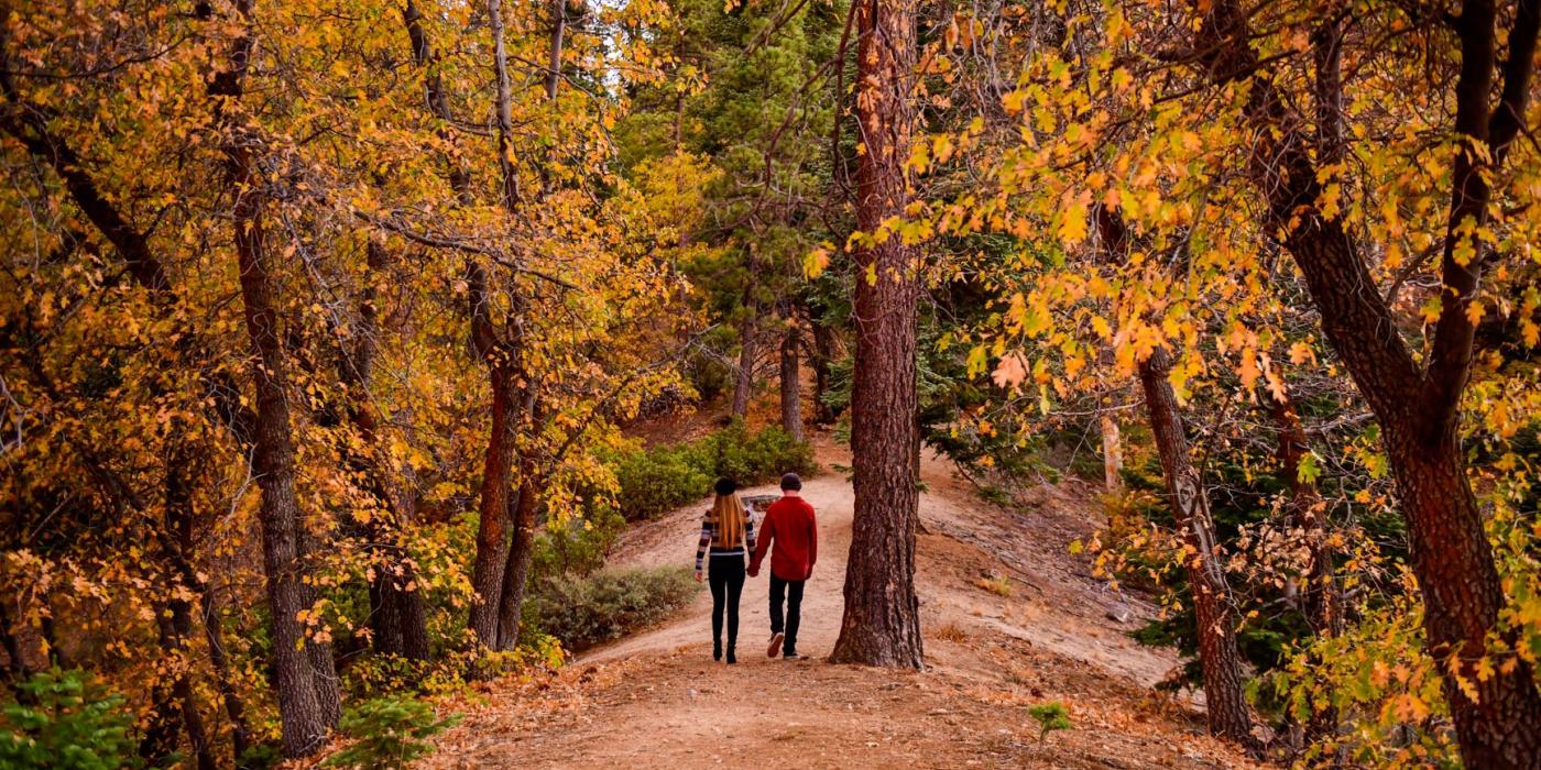 Top Fall Activities in Big Bear Lake | Big Bear Lake, CA